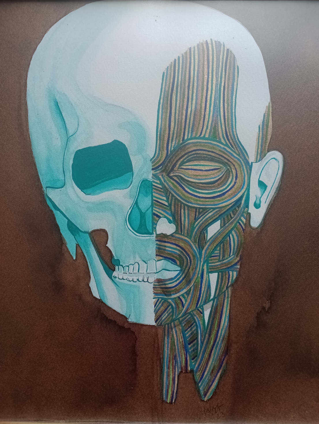 Cráneo doble. Acrílico y nogalina sobre papel. 28 x 25 cm. 2023. Vendida