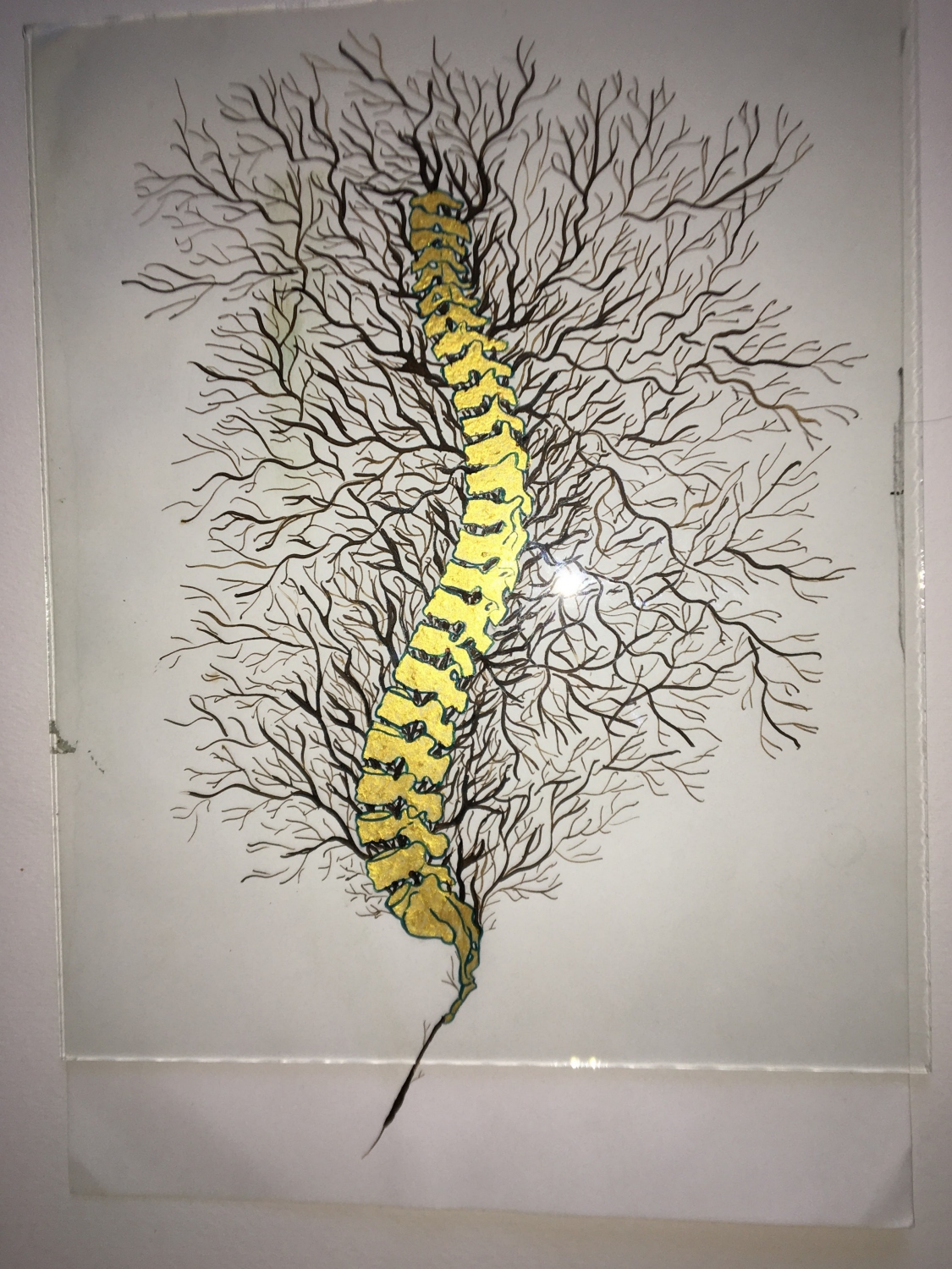 Columna 3. Acrílico y nogalina sobre papel 21 x 29.5 cm. (Vendida) 2017