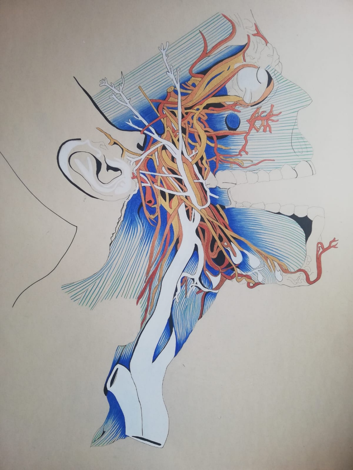 Perfil azul. Acrílico sobre papel . 110 x 90. cm 2022 