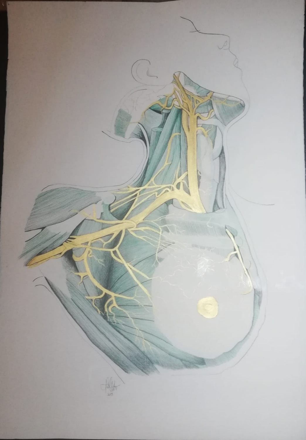 Torso verde y dorado. Acrílico y tinta sobre papel 70 x 100 cm.2023. Vendida